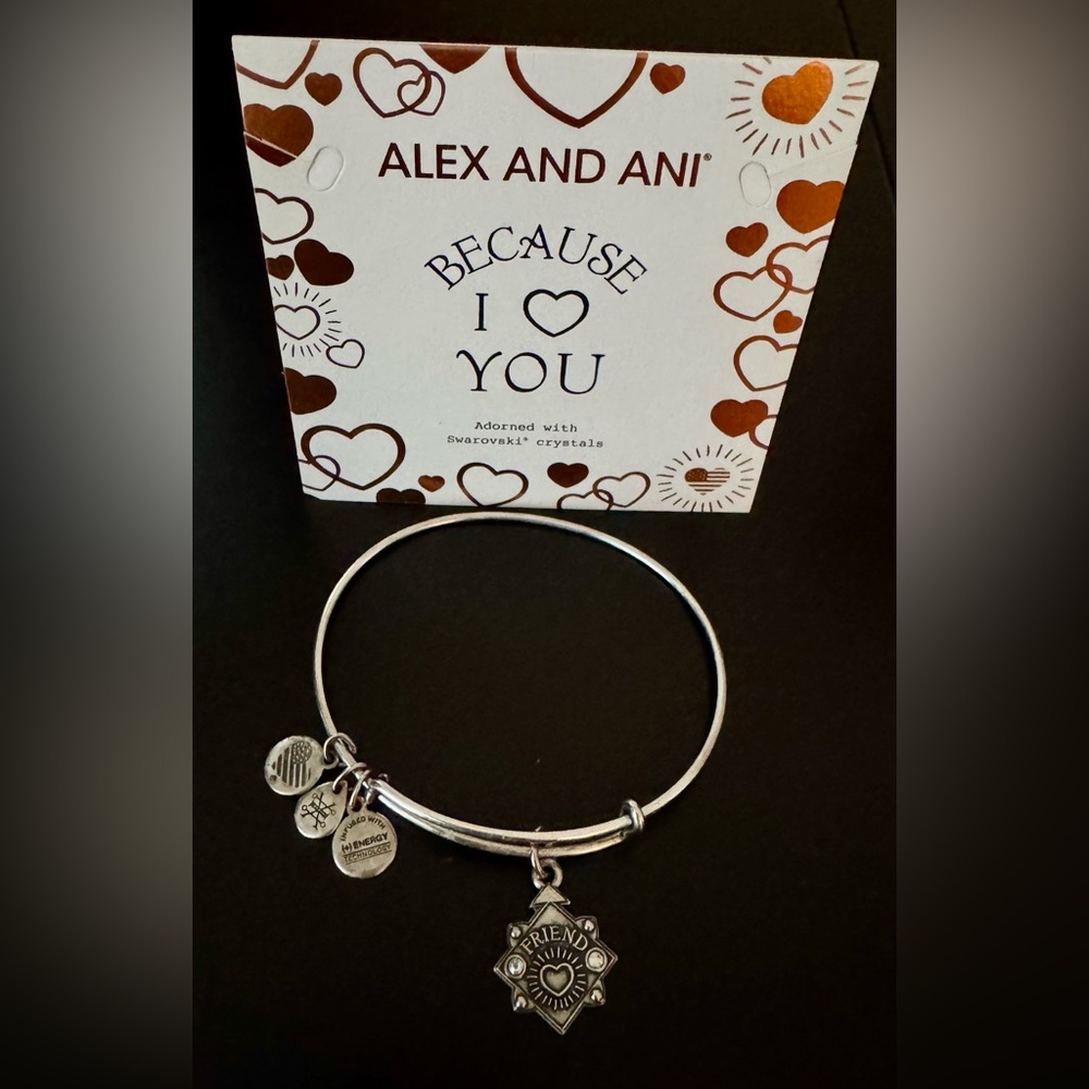 Alex and Ani Silver Friendship Charm Bracelet